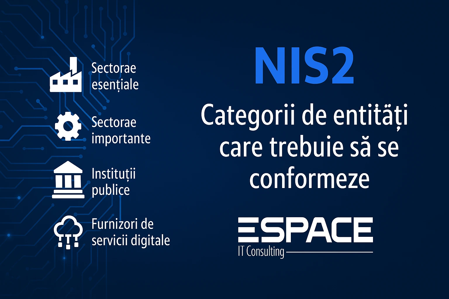 NIS2: Ce categorii de entități trebuie să se conformeze?